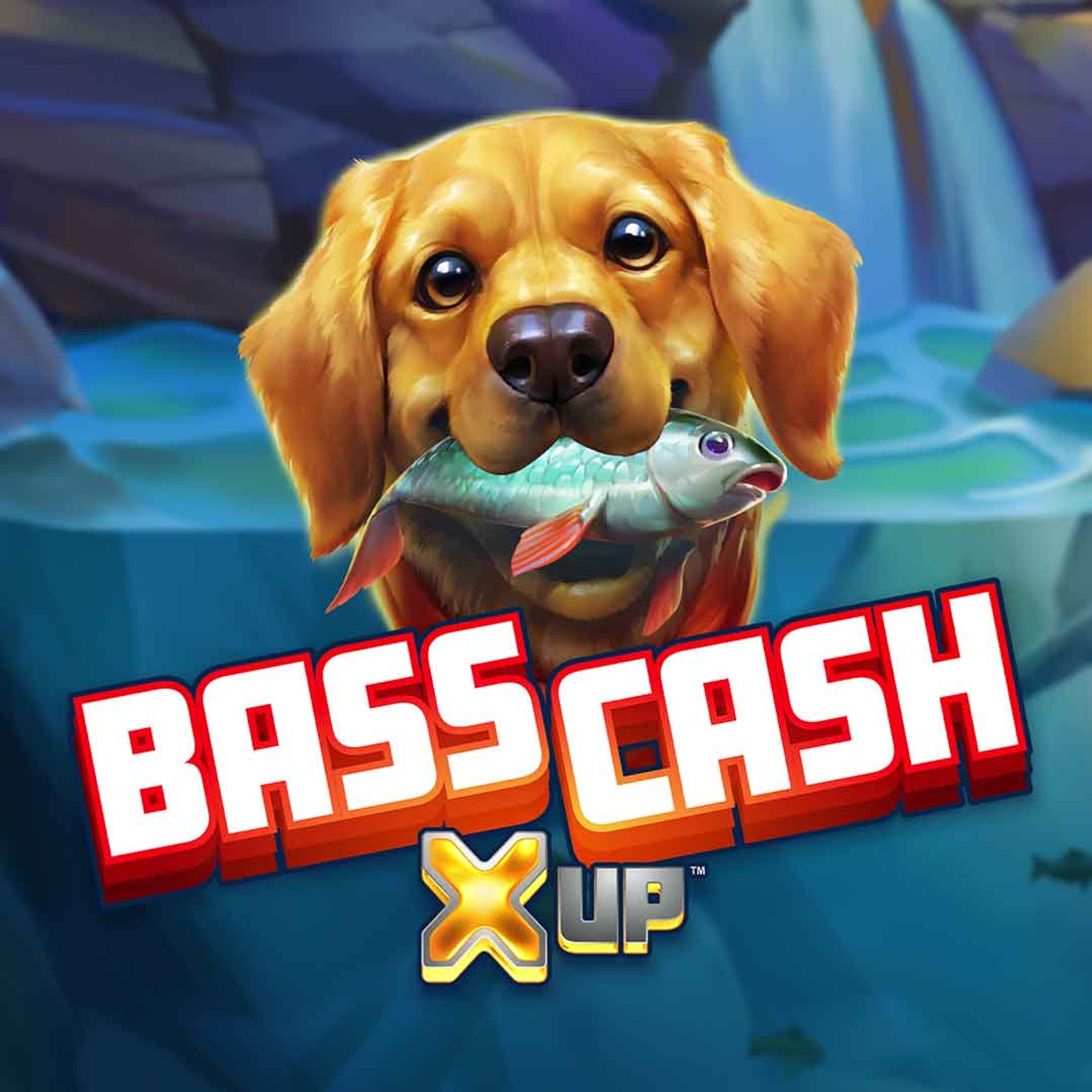 Bass Cash X UP