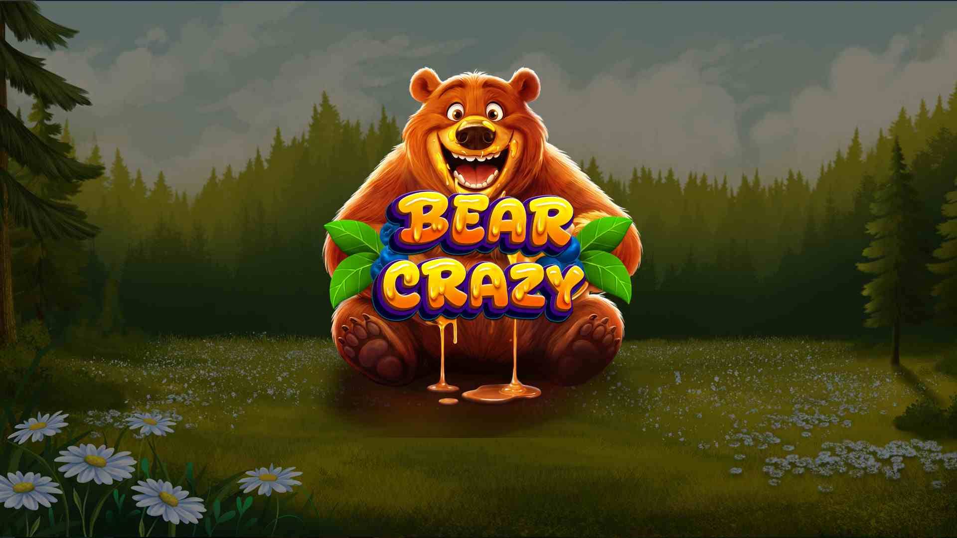 Bear Crazy