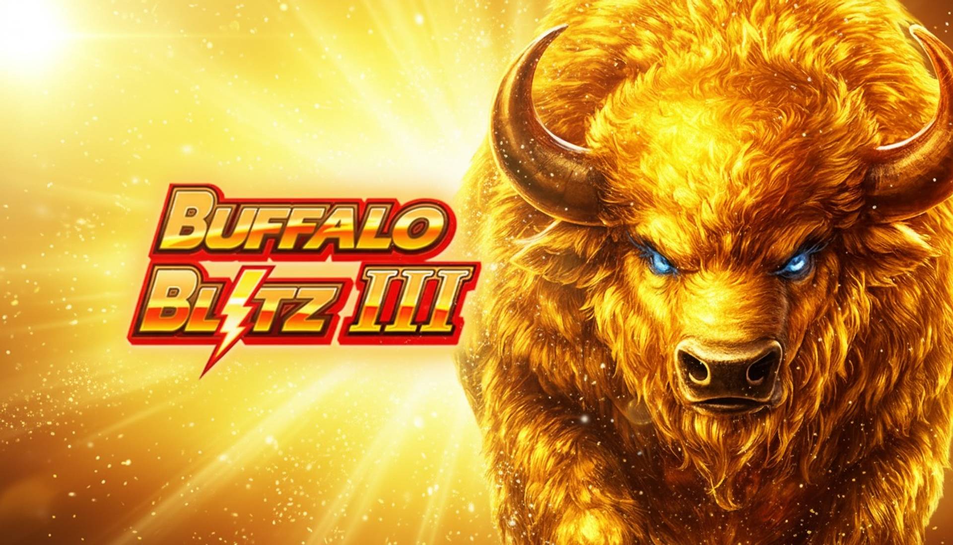 Buffalo Blitz III