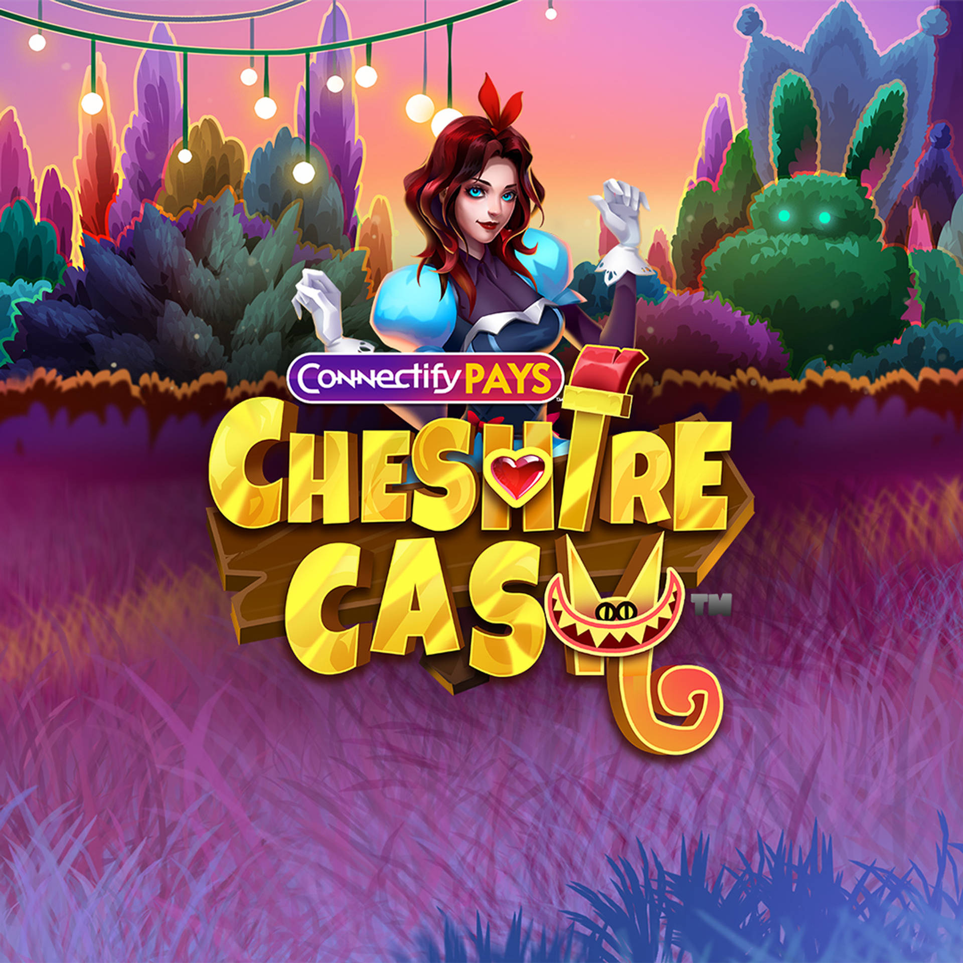 Connectify Pays Cheshire Cash