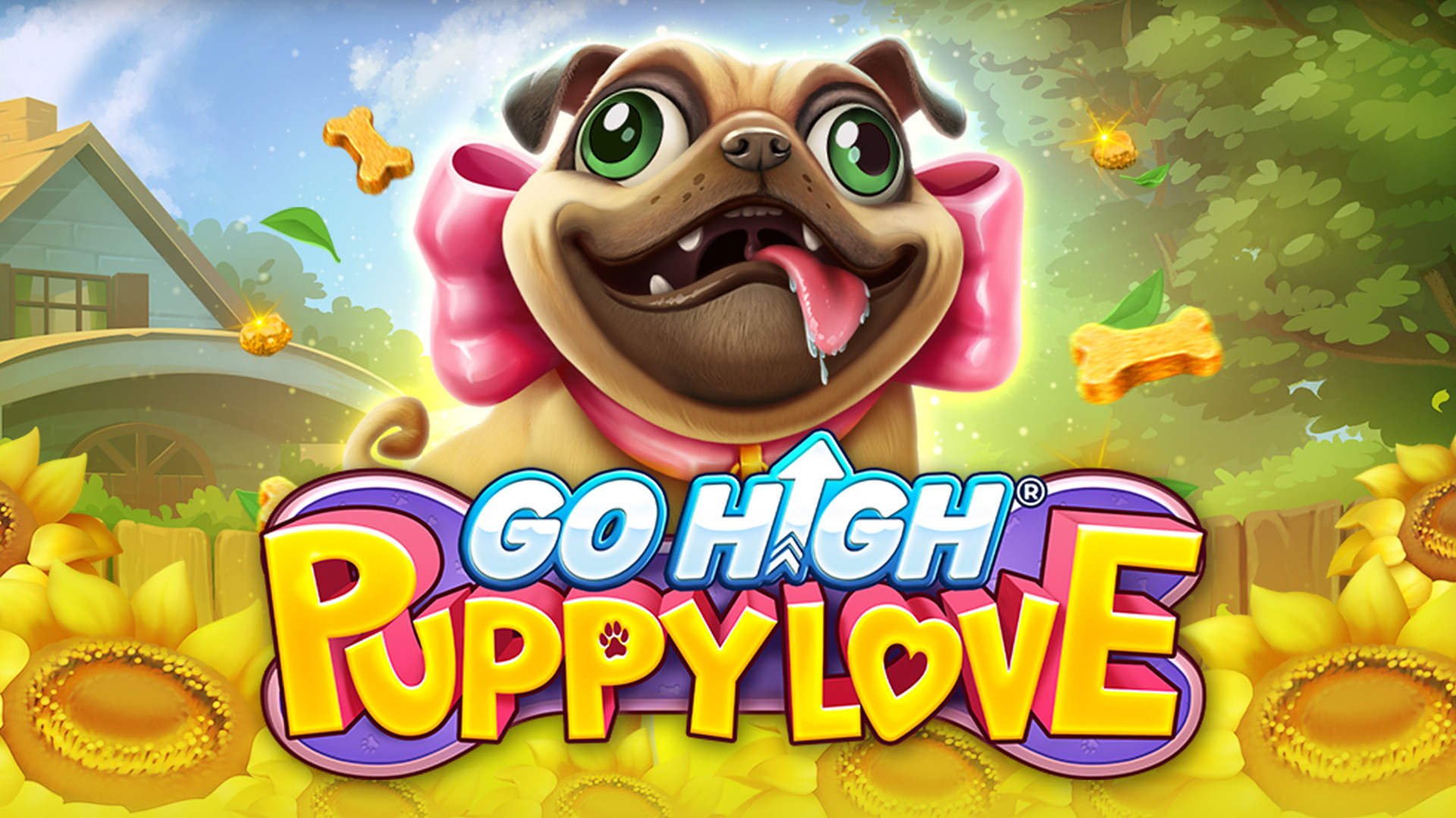 Go High Puppy Love