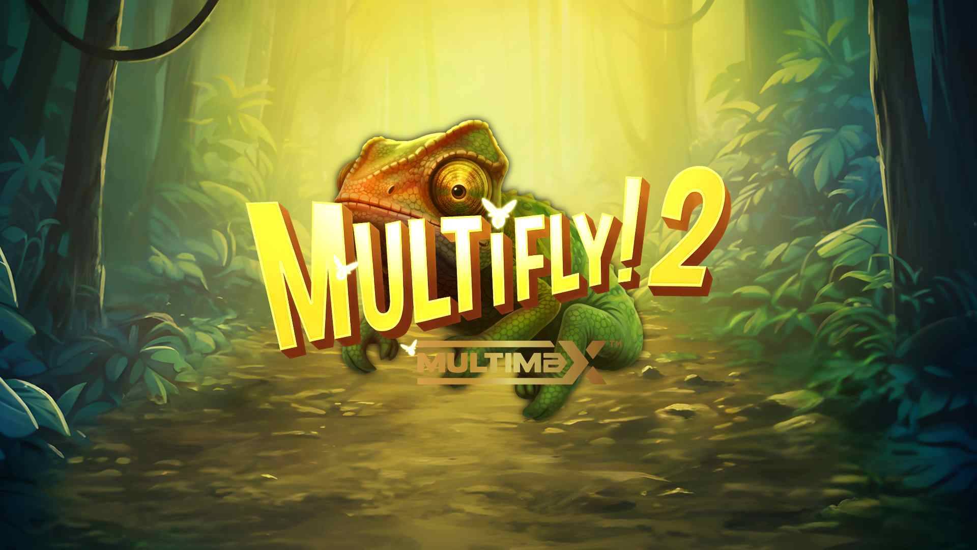 Multifly! 2 Multimax
