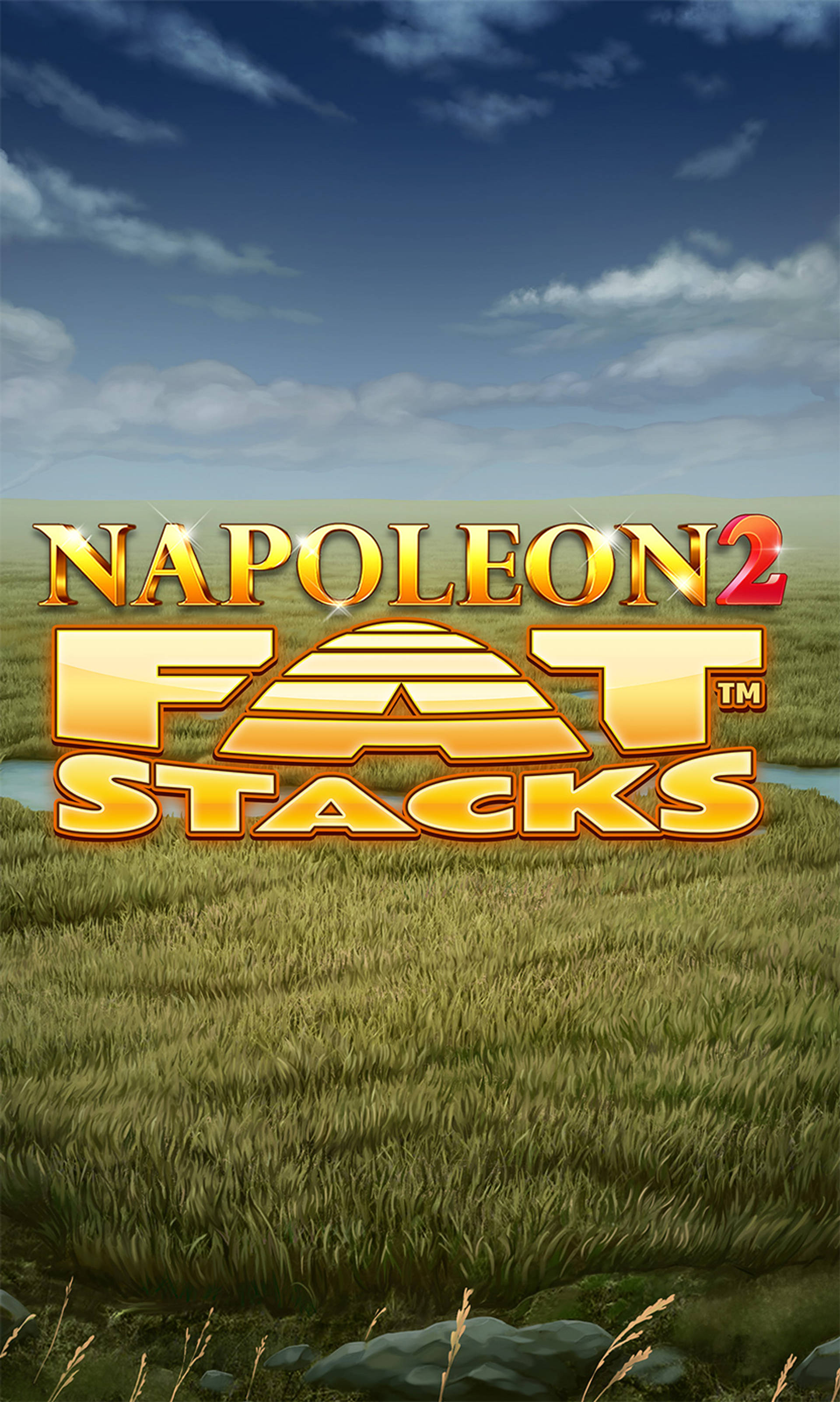 Napoleon 2 Fat Stacks