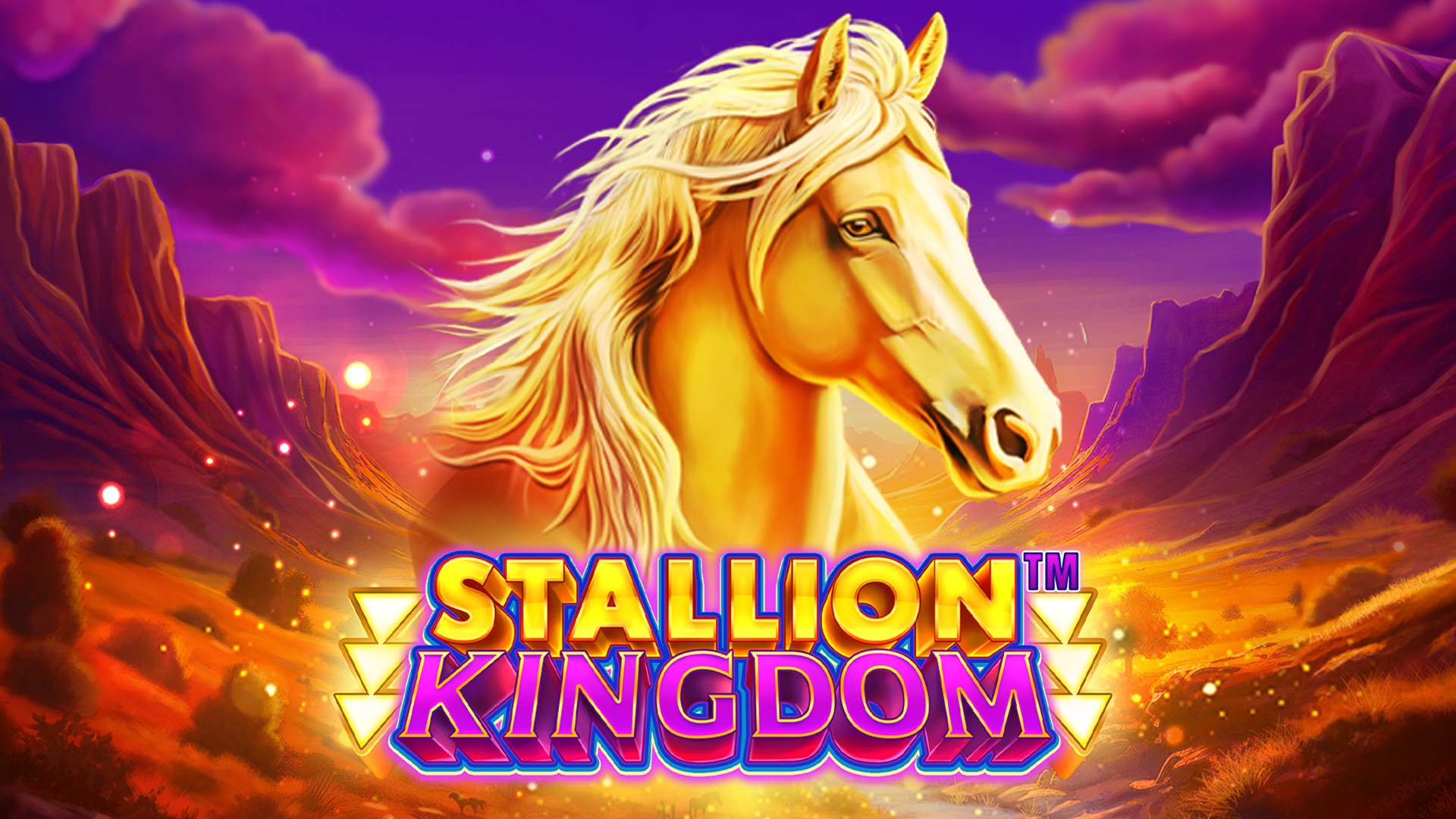 Stallion Kingdom