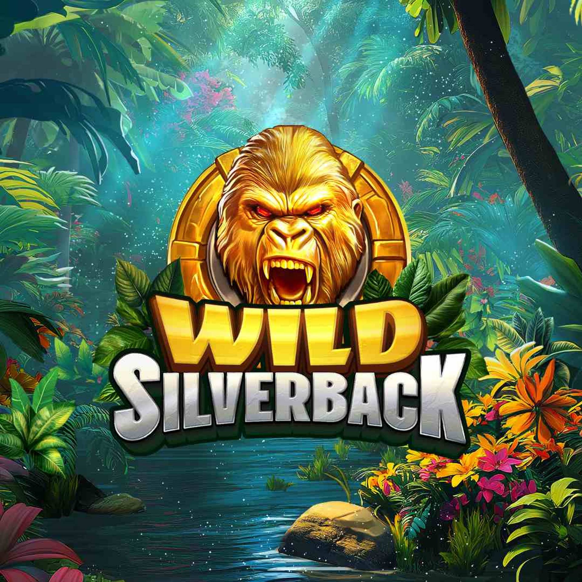 Wild Silverback