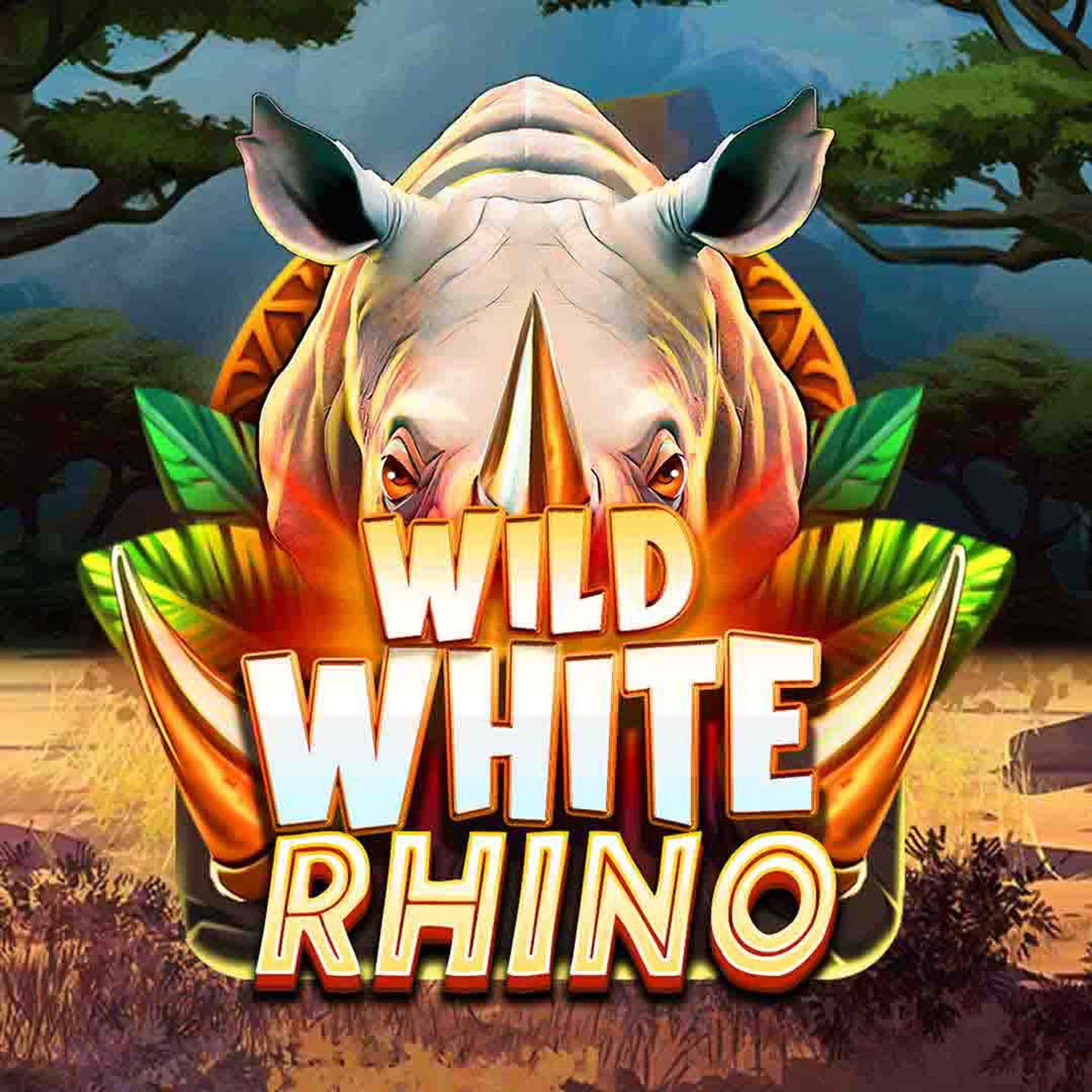 Wild White Rhino