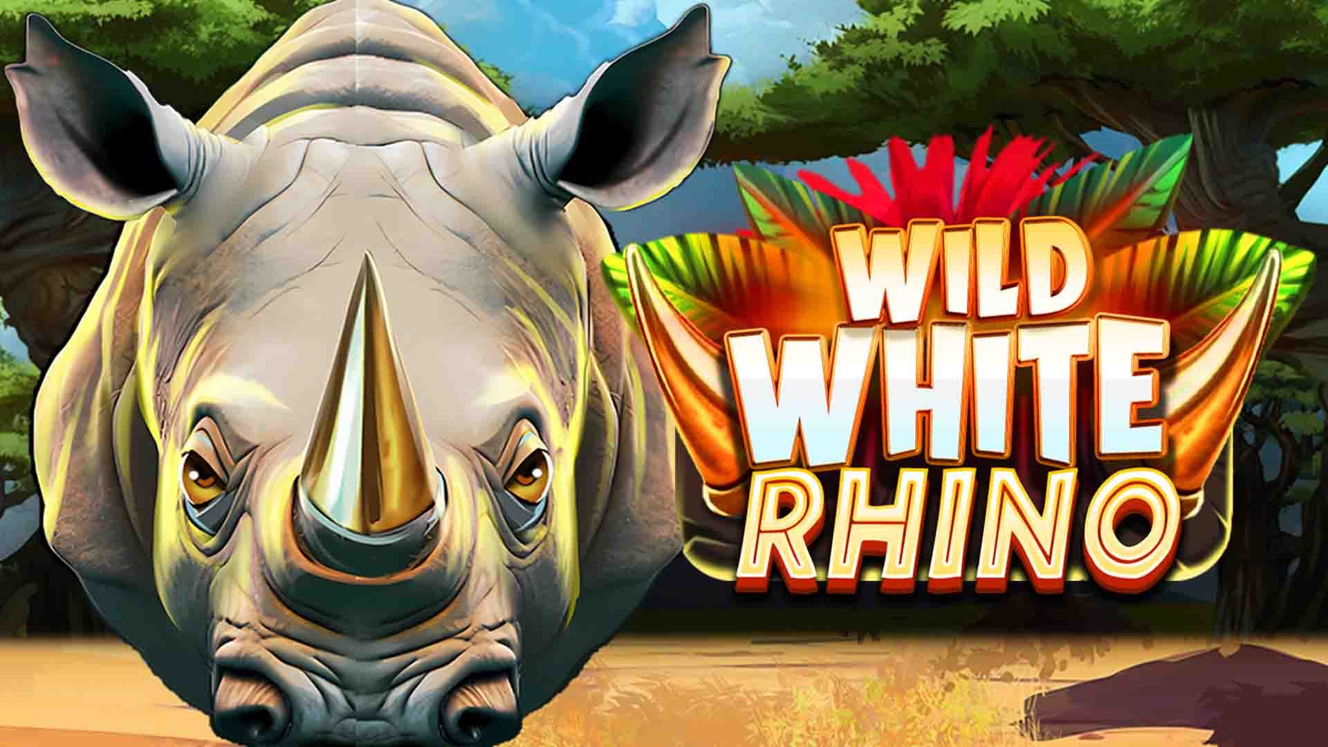 Wild White Rhino